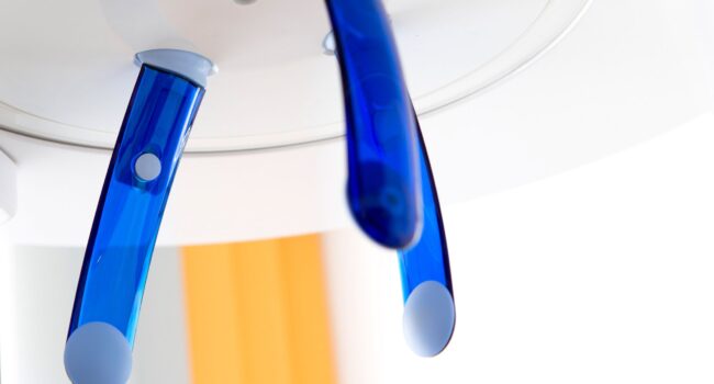 digitales-roentgen-v1-833cf6c3-scaled digitales-roentgen-v1-833cf6c3-scaled